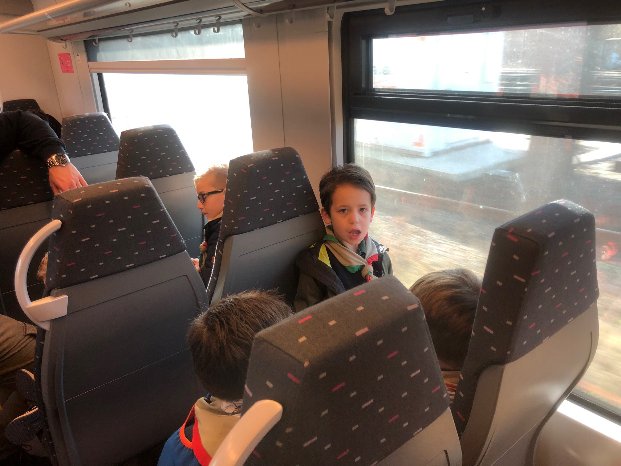 Sint-Martinus den XIIde - Zoo Antwerpen Kapoenen